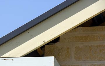 Clay Common fascia repairs