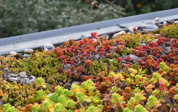 the cost of Clay Common green roof installation