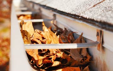 Clay Common gutter cleaning companies