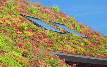 Clay Common living roof systems