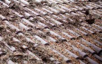 Clay Common roof cleaning companies