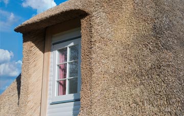 Clay Common thatch roof disadvantages