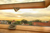 rated Clay Common roof window companies